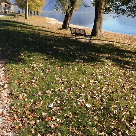 In Mit Garten Domaso